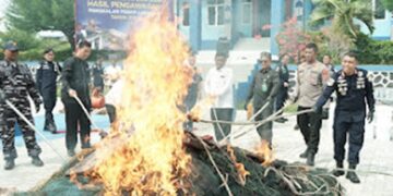 Ⓒ Hak cipta foto di atas dikembalikan sesungguhnya kepada pemilik foto Ⓒ Hak cipta foto di atas dikembalikan sesungguhnya kepada pemilik foto