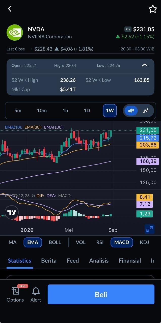 Alasan Investasi Saham Amerika Menarik bagi Investor Indonesia
