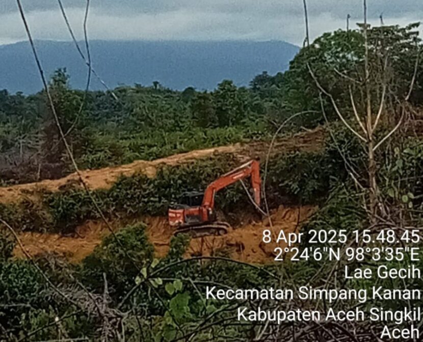 Ⓒ Hak cipta foto di atas dikembalikan sesungguhnya kepada pemilik foto