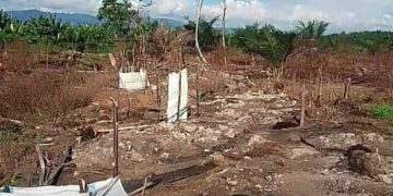 Ⓒ Hak cipta foto di atas dikembalikan sesungguhnya kepada pemilik foto Ⓒ Hak cipta foto di atas dikembalikan sesungguhnya kepada pemilik foto