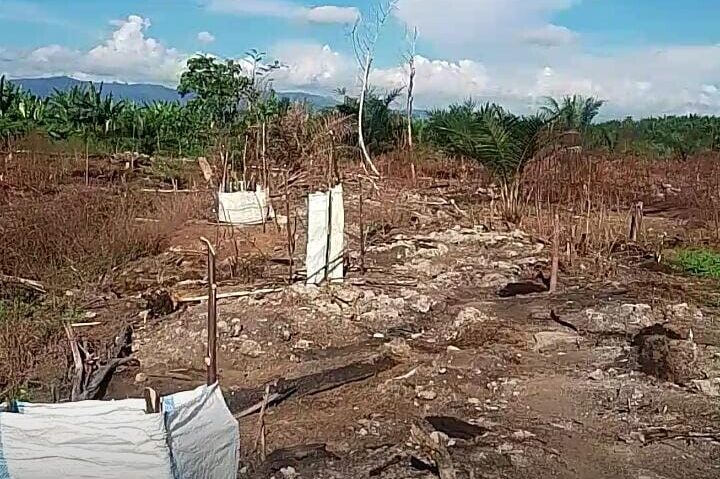 Lahan eks Hak Guna Usaha (HGU) di Kabupaten Aceh Barat Daya (Abdya). FOTO/Dok. Musliadi AL. Ⓒ Hak cipta foto di atas dikembalikan sesungguhnya kepada pemilik foto