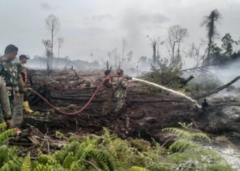 Hari Ketujuh, TNI dan Tim Gabungan Terus Kendalikan Karhutla di Ujung Mangki Aceh Selatan