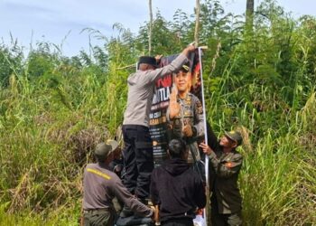 Ⓒ Hak cipta foto di atas dikembalikan sesungguhnya kepada pemilik foto