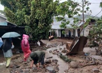 Ⓒ Hak cipta foto di atas dikembalikan sesungguhnya kepada pemilik foto Ⓒ Hak cipta foto di atas dikembalikan sesungguhnya kepada pemilik foto