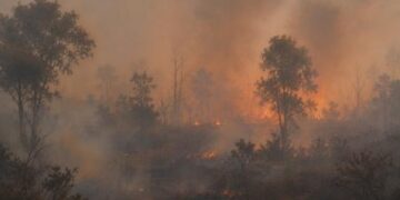 Ⓒ Hak cipta foto di atas dikembalikan sesungguhnya kepada pemilik foto Ⓒ Hak cipta foto di atas dikembalikan sesungguhnya kepada pemilik foto