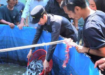 Ⓒ Hak cipta foto di atas dikembalikan sesungguhnya kepada pemilik foto Ⓒ Hak cipta foto di atas dikembalikan sesungguhnya kepada pemilik foto