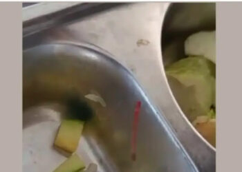 Ada Cacing Menari-nari di Menu MBG Siswa Pati, Kepsek Buka Suara