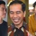 Peta Politik Keluarga Jokowi Berubah Usai MK Bacakan Putusan Gibran