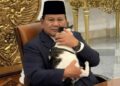 Dua Tahun Cukup bagi Prabowo Mengasuh Geng Solo
