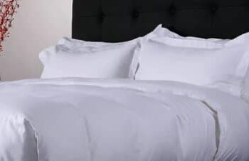 Heboh Pengadaan Sprei dan Sarung Bantal Rp9 Miliar, BGN Buka Suara