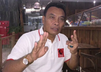 Dulu Dukung Jokowi, Kini Eks Waketum Projo Ikut Sarankan Gibran Mundur dari Wapres