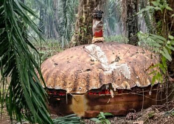 Geger! Puing Diduga UFO Jatuh di Perkebunan Sawit Kalimantan