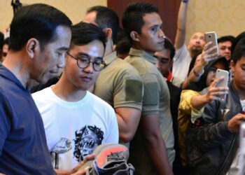 Soal Putusan MK, Jokowi-Gibran sedang Menuai Hasil
