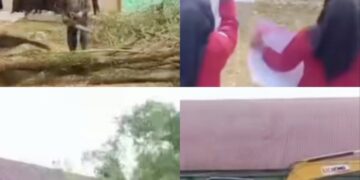 Penebangan pepohonan di SMA Negeri 1 Simpang Ulim, Kabupaten Aceh Timur, memantik protes dari kalangan siswa. FOTO/Kolase.