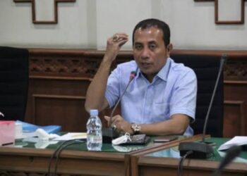 Anggota Dewan Perwakilan Rakyat Aceh (DPRA), Irpannusir. FOTO/Net.