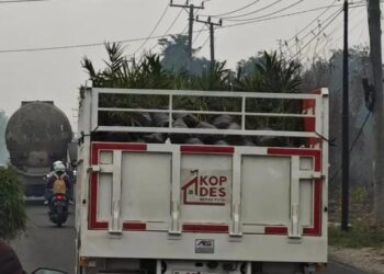 Truk berlogo Koperasi Desa Merah Putih berpelat B 9938 XHY terlihat membawa muatan yang diduga bibit sawit di tengah kabut asap. Lokasi dan waktu pengambilan foto belum terverifikasi. (Foto: Threads @ceritaselamanya via Instagram @nowdots).