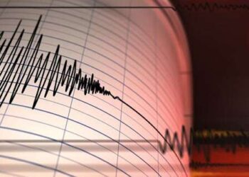 Gempa Tektonik Magnitudo 5,9 Guncang Halmahera Barat, Terasa hingga Siau dan Bitung