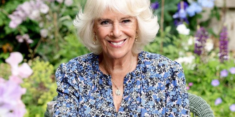 Ⓒ Hak cipta foto di atas dikembalikan sesungguhnya kepada pemilik foto