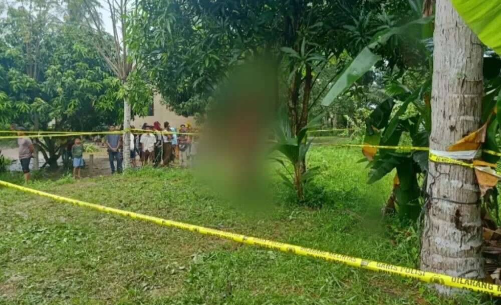 Pemuda berinisial H (26) warga Dusun Kute Gulime, Desa Jungke, Kecamatan Permata, Kabupaten Bener Meriah ditemukan meninggal dunia tergantung di pohon di Desa Matang Bayu, Kecamatan Baktiya Barat, Kabupaten Aceh Utara. FOTO/HAI/Azhari