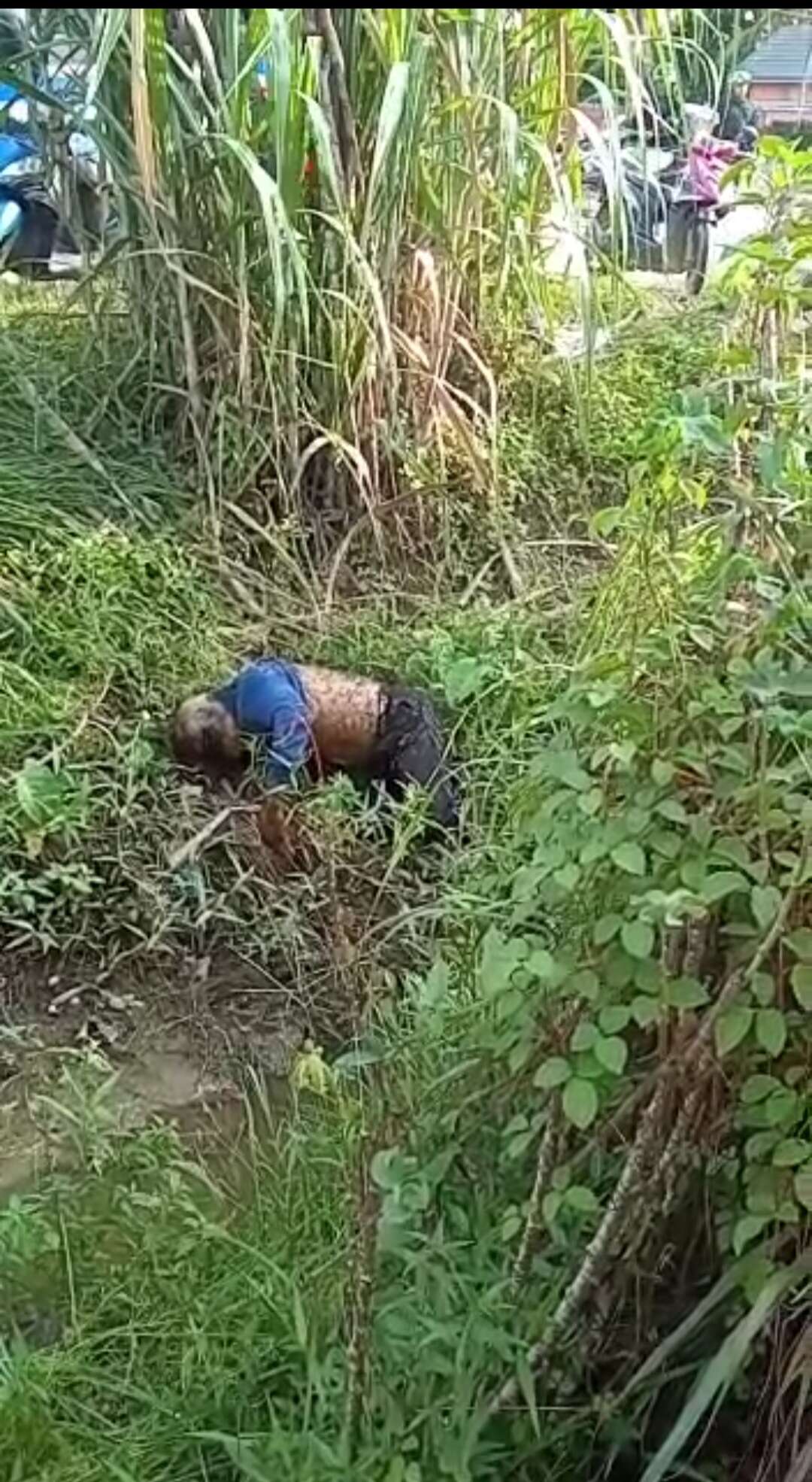 Geger, Masyarakat Aceh Utara Dihebohkan Penemuan Mayat