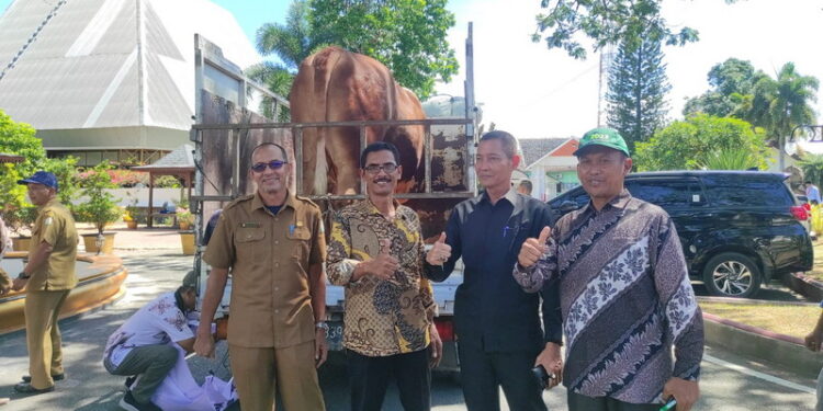 Ⓒ Hak cipta foto di atas dikembalikan sesungguhnya kepada pemilik foto