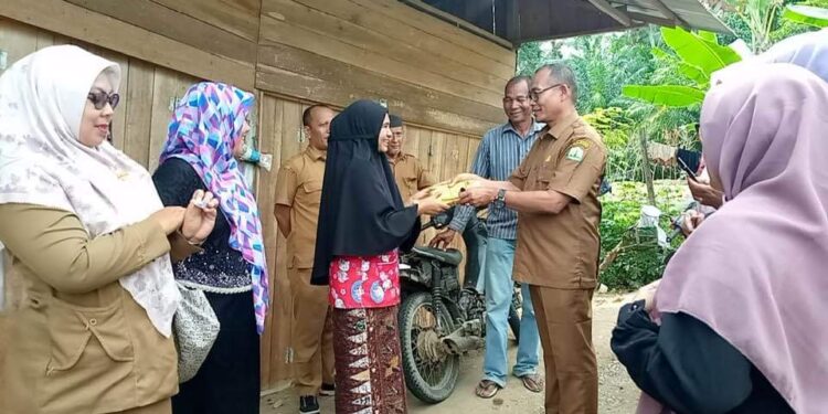 Ⓒ Hak cipta foto di atas dikembalikan sesungguhnya kepada pemilik foto