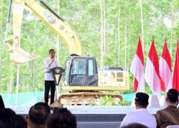 Jokowi Sebut Tinggal di IKN Bisa Terhindar dari Penyakit Jantung dan Stroke