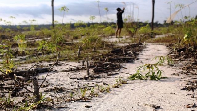 Ⓒ Hak cipta foto di atas dikembalikan sesungguhnya kepada sang pemilik foto Ⓒ Hak cipta foto di atas dikembalikan sesungguhnya kepada pemilik foto