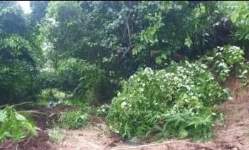 Banjir dan Longsor Landa Kabupaten Padang Pariaman