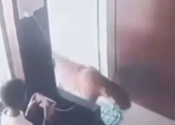 Bikin Ngeri! Sedang Asyik Main Ponsel, Bocah Laki-laki Ini Tiba-tiba Didatangi Macan Tutul