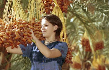 Ilustrasi 24 kurma Israel yang diboikot saat Ramadhan 2024 menurut Within Our Life. FOTO/Net. Ⓒ Hak cipta foto di atas dikembalikan sesungguhnya kepada pemilik foto