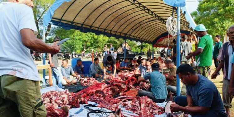 Ⓒ Hak cipta foto di atas dikembalikan sesungguhnya kepada pemilik foto