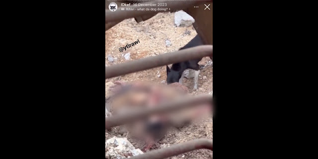 Ⓒ Hak cipta foto di atas dikembalikan sesungguhnya kepada pemilik foto