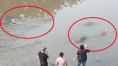 Ⓒ Hak cipta foto di atas dikembalikan sesungguhnya kepada sang pemilik foto Ⓒ Hak cipta foto di atas dikembalikan sesungguhnya kepada pemilik foto