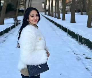 Hana Hanifah Tak Hanya Terjerat Kasus Korupsi, Juga Sempat Kena Kasus Prostitusi hingga Judi Online