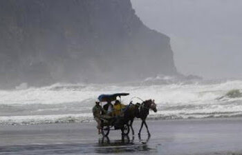 Ⓒ Hak cipta foto di atas dikembalikan sesungguhnya kepada pemilik foto