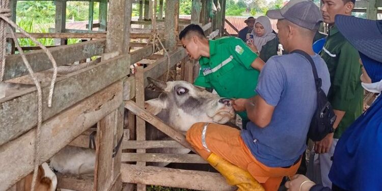 Ⓒ Hak cipta foto di atas dikembalikan sesungguhnya kepada pemilik foto