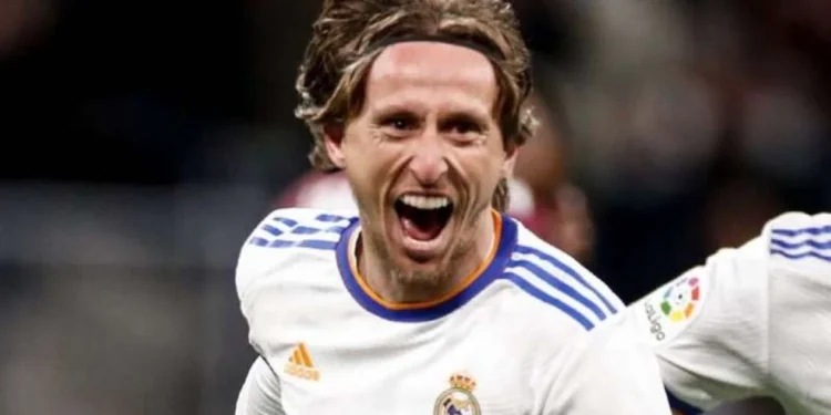 Ⓒ Hak cipta foto di atas dikembalikan sesungguhnya kepada pemilik foto