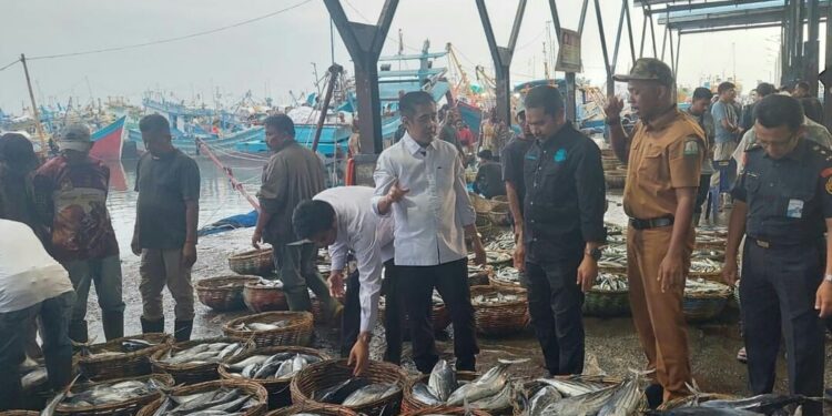 Ⓒ Hak cipta foto di atas dikembalikan sesungguhnya kepada sang pemilik foto Ⓒ Hak cipta foto di atas dikembalikan sesungguhnya kepada pemilik foto