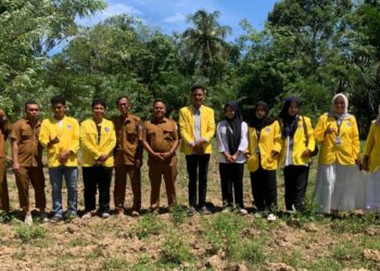 Perkuat Ketahanan Pangan, KKN UTU Tanam Sayuran di Ie Itam Baroh