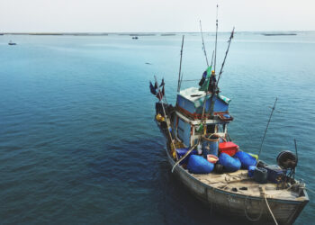 Suasana laut yang tenang dan sehat, memberikan hasil yang melimpah bagi nelayan