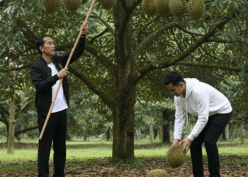 Wakil Presiden Republik Indonesia, Gibran Rakabuming Raka alias Fufufafa. FOTO/Net. Ⓒ Hak cipta foto di atas dikembalikan sesungguhnya kepada pemilik foto
