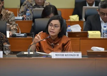 Menteri Keuangan RI Sri Mulyani saat rapat di DPR.