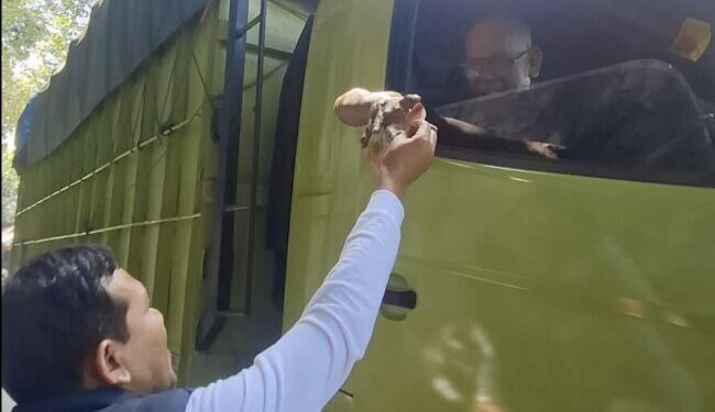 Ⓒ Hak cipta foto di atas dikembalikan sesungguhnya kepada pemilik foto