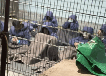 Zionis Israel dikabarkan membawa para relawan dan aktivis Global Sumud Flotilla ke Penjara Ketziot di Gurun Negev. FOTO/Net. Ⓒ Hak cipta foto di atas dikembalikan sesungguhnya kepada pemilik foto