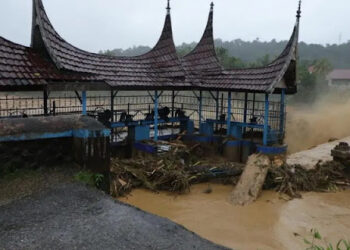 Bencana Alam Sumatera Tak Bisa Lepas dari Aksi Pembalakan Liar!