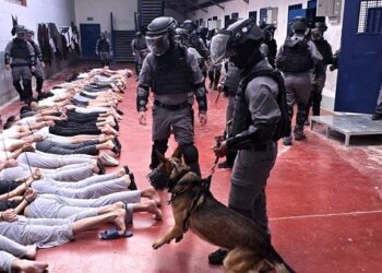 Bukan hanya disiksa, tahanan Palestina juga diperkosa oleh anjing Israel. FOTO/Net. Ⓒ Hak cipta foto di atas dikembalikan sesungguhnya kepada pemilik foto