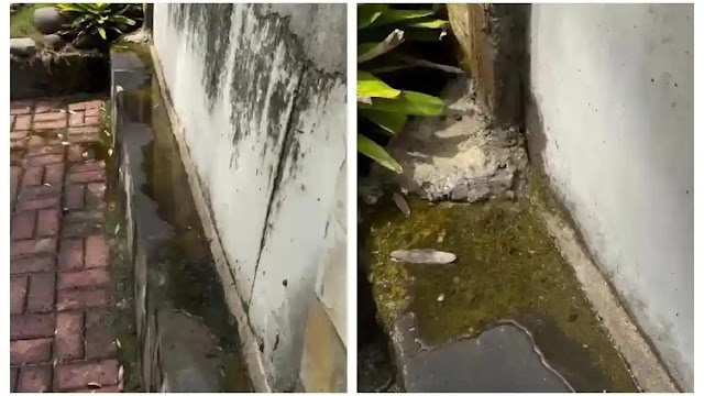 Tanggul di Pantai Mutiara Jakut Tampak Mengkhawatirkan, Ini yang Dilakukan Pemprov DKI Jakarta