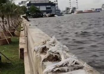 Viral Air Laut di Pesisir Jakarta Lebih Tinggi dari Daratan, Mengkhawatirkan!