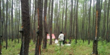 Ⓒ Hak cipta foto di atas dikembalikan sesungguhnya kepada sang pemilik foto Ⓒ Hak cipta foto di atas dikembalikan sesungguhnya kepada pemilik foto